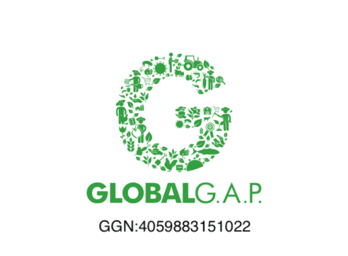 GLOBALGAP認証